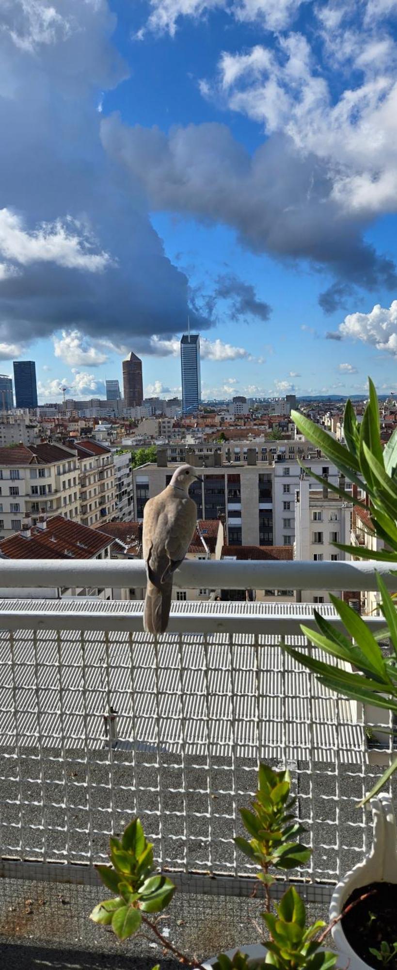 Plein Sud Terrasse Climatisation Garage Netflix Lägenhet Lyon Exteriör bild